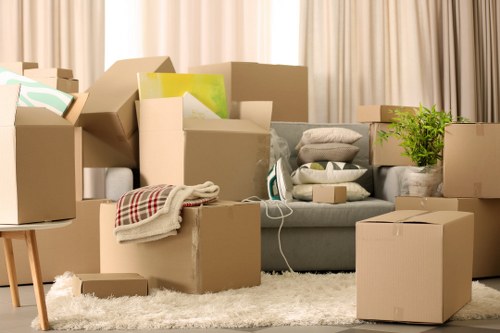 Inclusive service page image for Wembleypark moving assistance